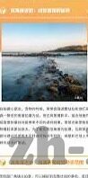 91 麻豆-91麻豆，解析网络流行语的背后与时代变迁