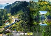 国产麻豆免费av-国产麻豆AV，从市场现状到内容审视的深度剖析