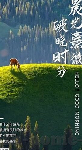 麻豆传煤网站网址app免费-麻豆传媒信息传播新体验，无界沟通的免费桥梁