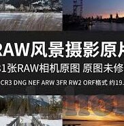 麻豆传媒映画原版-麻豆传媒映画，艺术与市场的和谐共生现象