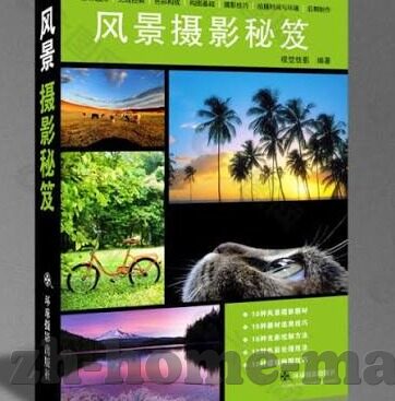 麻豆视频 免费 你懂的-麻豆视频，免费观赏的数字世界小秘密