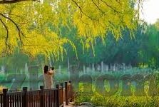 麻豆探花视频-探秘麻豆探花视频，互联网时代下的内容审视与界限